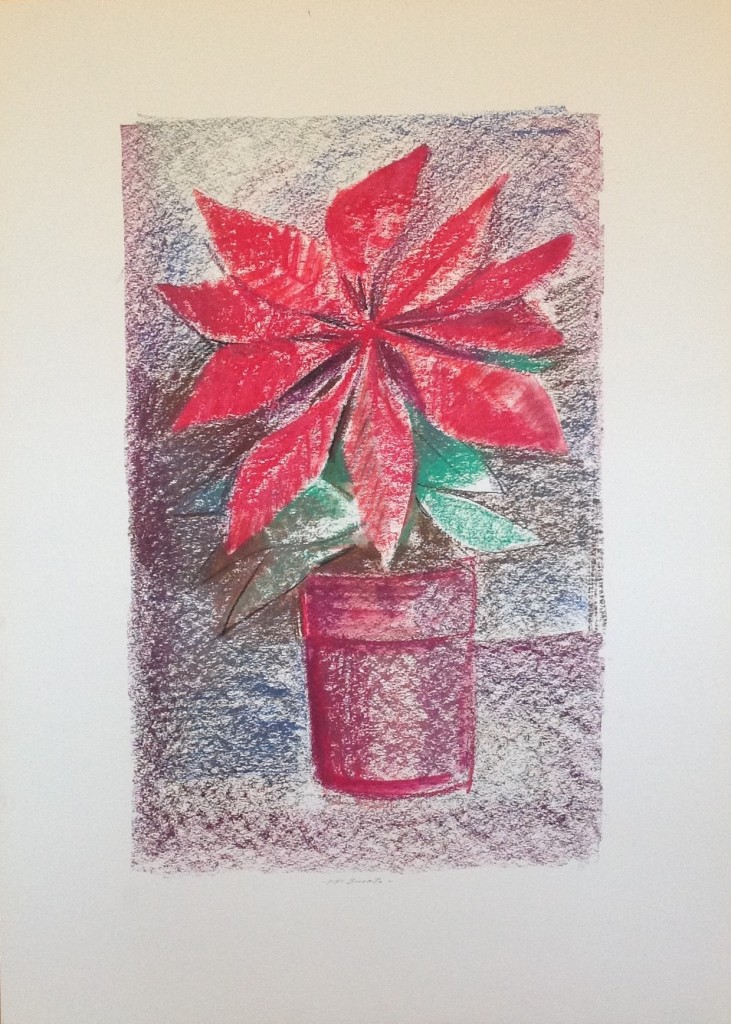 Buon Natale disegno di una stella di Natale rossa pianta nel vaso Di Gigi Busato. Disegno a pastello su carta colorato.